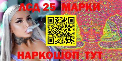 гидра Будённовск