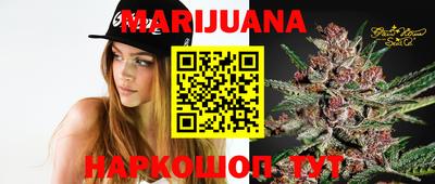 гидра Будённовск