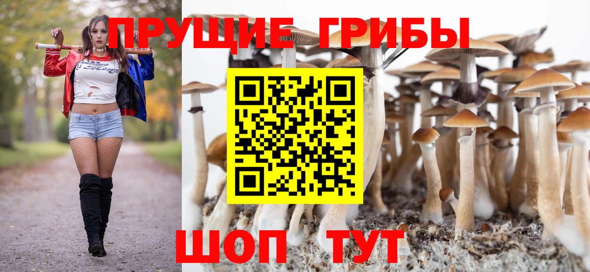 Псилоцибиновые грибы Psilocybe Углич