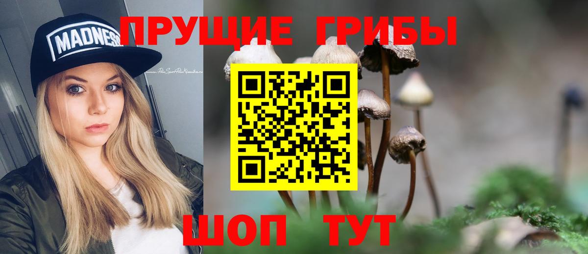 Галлюциногенные грибы Cubensis  Вход с VPN  Углич  Псилоцибиновые грибы Magic Shrooms 